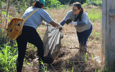 LIRAa aponta queda histórica nos índices do Aedes aegypti em Sarandi